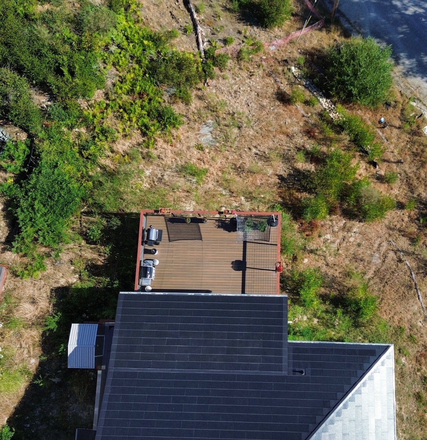Before aerial view of an overgrown yard around a home